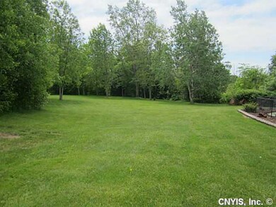 Yard. Park-like setting in back yard...no restrict