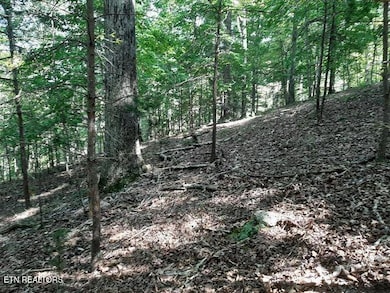 0 Deer Pond Cir unit 1281469, Lafollette, TN 37766 - photo 4