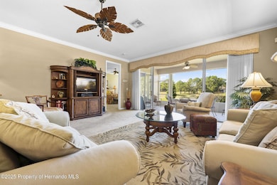 5453 Legend Hills Ln, Spring Hill, FL 34609 - photo 5