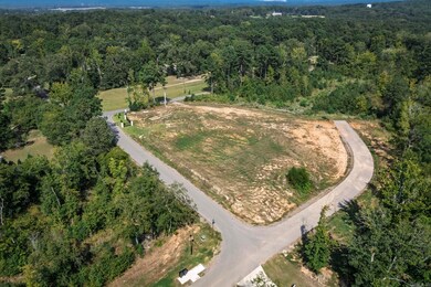 113 Shepherd Loop Dr, Arkadelphia, AR 71923 - photo 4