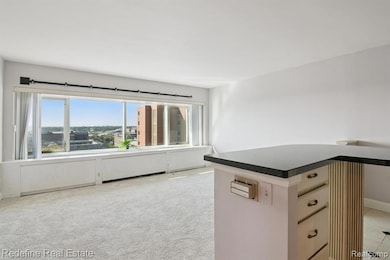 Tower Plaza unit 14A, Ann Arbor, MI 48104 - photo 4