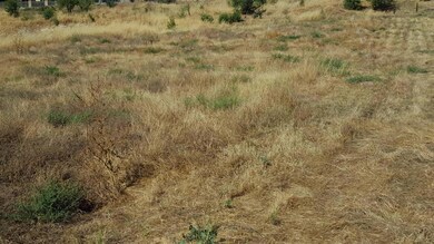 View Of Lot From The Street