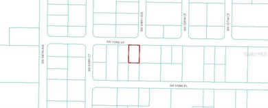 Lot 4 SW 102nd St, Dunnellon, FL 34432 - photo 2