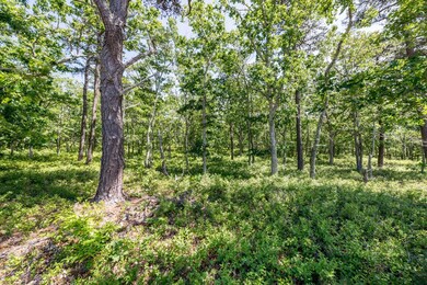 15 Paddock Rd, Oak Bluffs, MA 02557 - photo 5