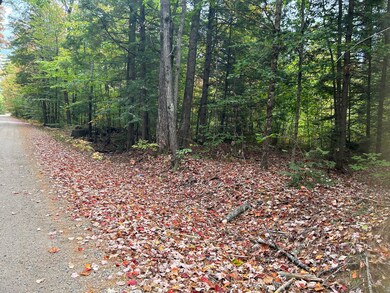 tbd Flat Ground, Acton, ME 04001 - photo 7