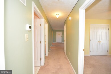 105 D9 Hailey Ln, Strasburg, VA 22657 - photo 4