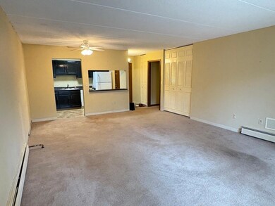 Unit 215 toward entry door.jpeg