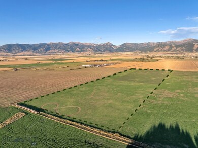 TBD Spain Bridge Rd, Belgrade, MT 59714 - photo 5