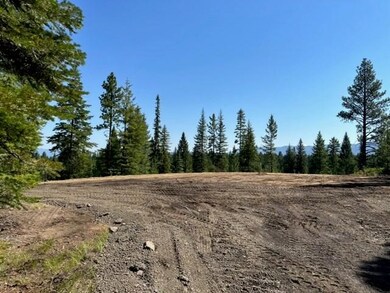 33 Challis Ln unit Lot 5, Cascade, ID 83611 - photo 3