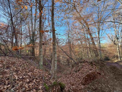 TBD (W. 180 Ac) Tunica Trace, St. Francisville, LA 70775 - photo 5