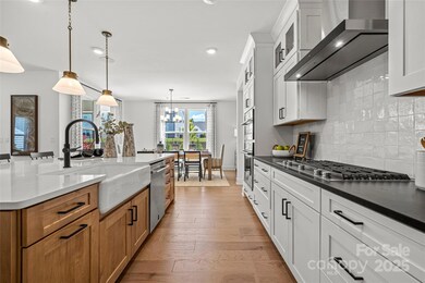 5361 Mint Harbor Way unit 301, Charlotte, NC 28269 - photo 7