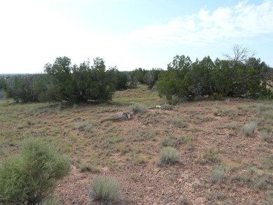 Lot 577 Ccr Unit 4 -- unit 577, Heber, AZ 85928 - photo 6