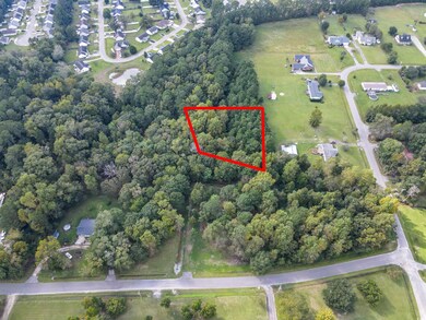 00 West Rd, Conway, SC 29527 - photo 7