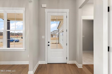 726 Coahoma Ct, Nesbit, MS 38651 - photo 6