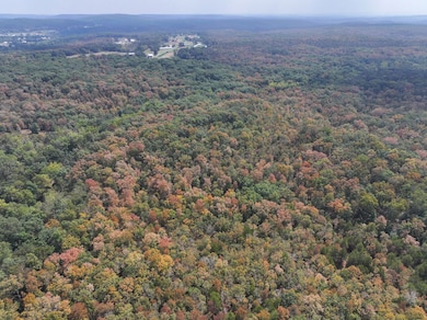 Off Hwy Dd unit Lot WP001, Farmington, MO 63640 - photo 6