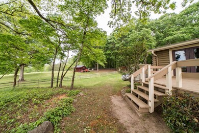 back porch to shade trees