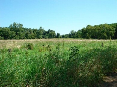 0 Spring Creek Rd, Galien, MI 49113 - photo 5