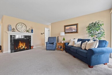 2105 Lancaster Cir unit 101A, Naperville, IL 60565 - photo 4