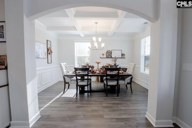 2130 Ludlow Place, Chapin, SC 29036 - photo 7