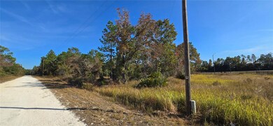 16392 Curlew Rd, Brooksville, FL 34614 - photo 4