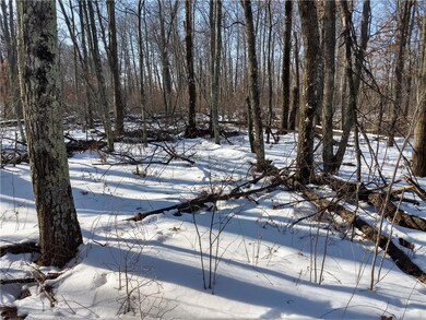 0 Lee Rd unit 1515415, Webster, WI 54893 - photo 6