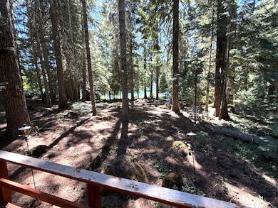 4 Fish Lake Tract G, Eagle Point, OR 97524 - photo 3