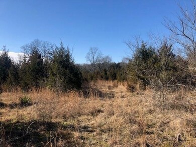 0 Highway 64 E unit RTC2352975, Shelbyville, TN 37160 - photo 3