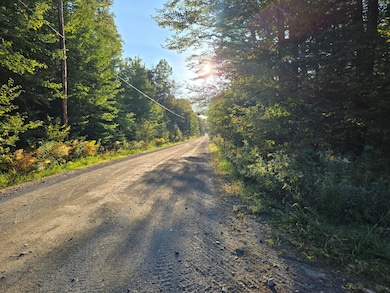 M2 L9-1 Solon Rd, Brighton Plantation, ME 04942 - photo 5