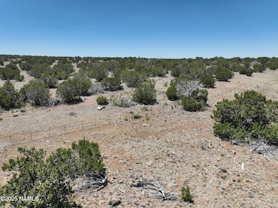 10955 Howard Mesa Loop, Williams, AZ 86046 - photo 3