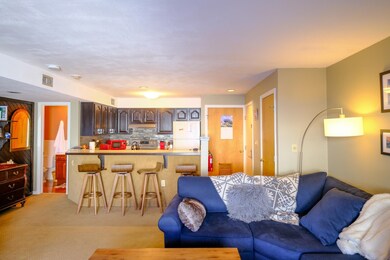 350 Mountain Rd unit B107, Ludlow, VT 05149 - photo 3