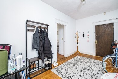 524 Harvard St unit 2, Brookline, MA 02446 - photo 5