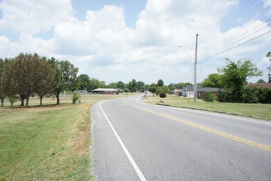 816 Castle Heights Ave, Lebanon, TN 37087 - photo 6