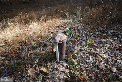 Lot 17 Gaither Rd, Great Cacapon, WV 25422 - photo 4