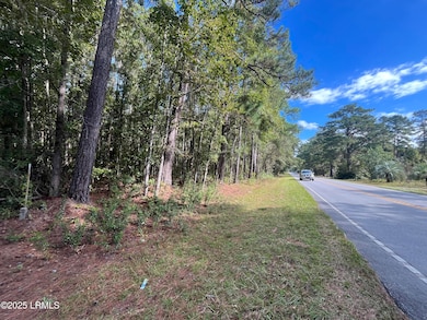 5351 Tillman Rd, Ridgeland, SC 29936 - photo 4