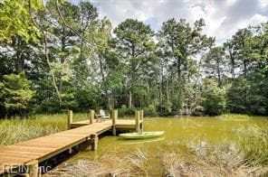 337 Juniper Cove Ln, Bohannon, VA 23021 - photo 4