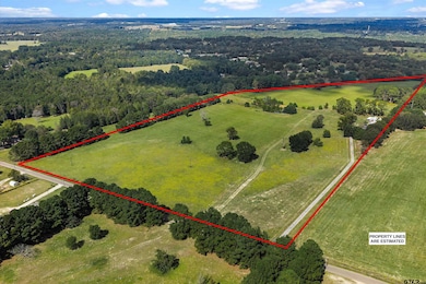 5152 County Road 413 W, Henderson, TX 75654 - photo 4