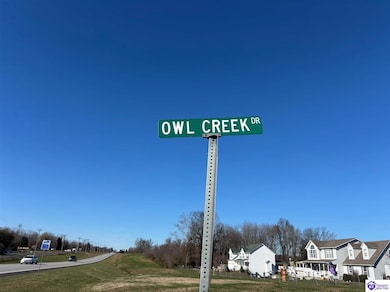 185 Owl Creek Dr, Vine Grove, KY 40175 - photo 6