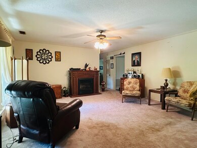 Living room with light carpet, ceiling fan, and a 