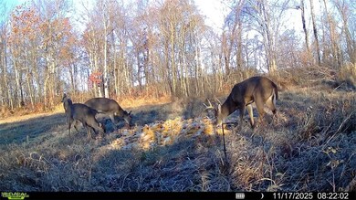 0 Greenlawn Rd unit 3, Quaker City, OH 43773 - photo 6
