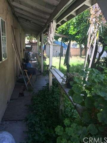 Back Yard Partial View