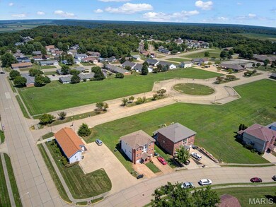 106 Empson Dr, Valmeyer, IL 62295 - photo 4