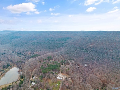 41 ac Kroff Rd, Gurley, AL 35748 - photo 7