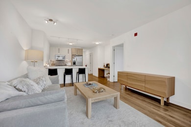 350 N Canal St unit 1109, Chicago, IL 60606 - photo 4