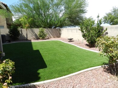 Backyard #2