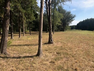 Lot 447 Waters Edge Dr, Corsicana, TX 75109 - photo 7