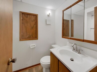 1623 N Brenner Pass, Minneapolis, MN 55432 - photo 5