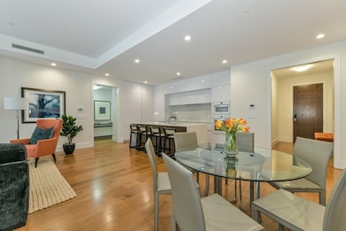 201 W Brookline St unit 103, Boston, MA 02118 - photo 7