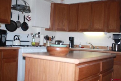 680 W Main St, Cedaredge, CO 81413 - photo 3