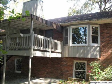 Back view