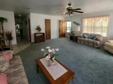 124 Northwood Rd, Crawfordville, FL 32327 - photo 6